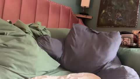 Elle online show from 04/24/26, 01:46