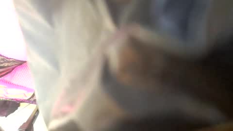 Maria Magdalena online show from 10/04/25, 08:45