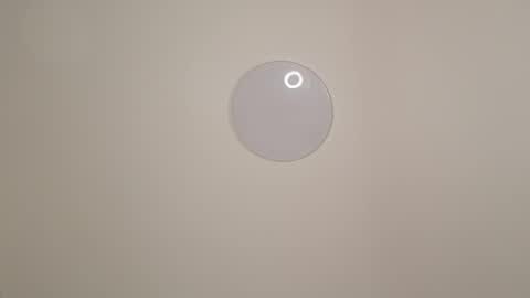 sofia online show from 11/29/25, 08:06