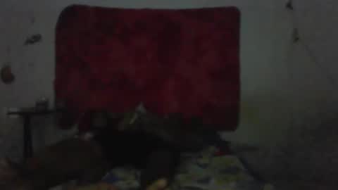 casal delicia online show from 02/01/26, 09:13