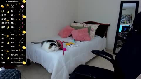 Snapshot of mariamcastillo chatting on 01/14/25, 03:01   Mariam Castiblanco online show from 01/14/25, 03:01