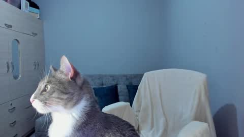 Snapshot of mariana_owen chatting on 03/08/25, 02:45    online show from 03/08/25, 02:45