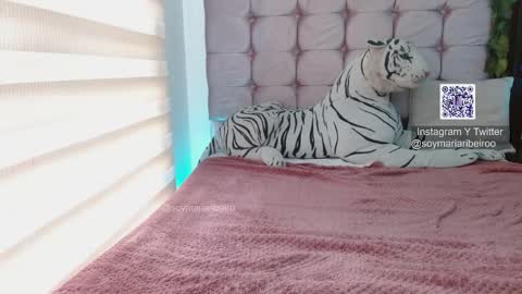 Snapshot of mariaribeiro chatting on 01/07/26, 07:49 mariaribeiro online show from 01/07/26, 07:49