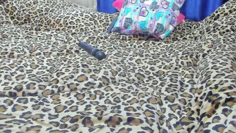 Snapshot of marie_marie03 chatting on 01/23/25, 01:56 Marie   online show from 01/23/25, 01:56