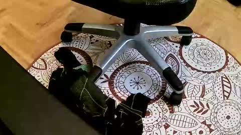 marcoxxl online show from 03/22/26, 02:42