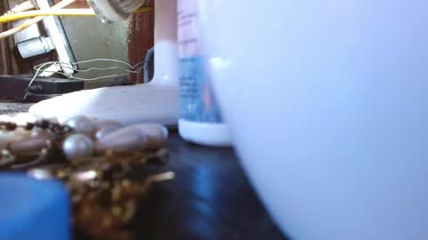 LEAH online show from 03/09/25, 04:05