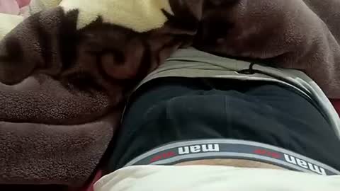 Snapshot of marocreda33 chatting on 01/30/25, 08:53 marocreda33 online show from 01/30/25, 08:53