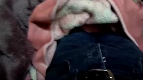 Snapshot of marocreda33 chatting on 03/11/25, 05:57 marocreda33 online show from 03/11/25, 05:57