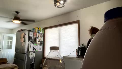 Snapshot of maroon_moon chatting on 02/18/25, 07:41 maroon_moon online show from 02/18/25, 07:41