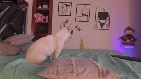 Mar online show from 01/03/25, 04:11