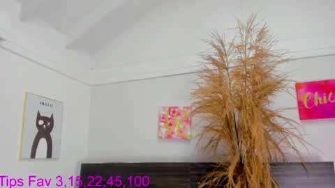 martina mIIler online show from 11/17/25, 12:44