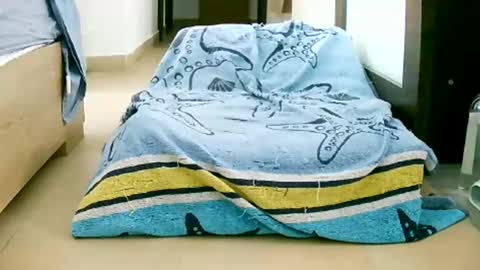 Play with me I obey I promise  online show from 10/12/25, 10:58