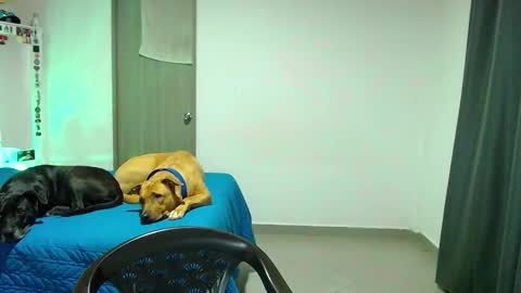 Snapshot of mary_jane1_ chatting on 10/31/25, 02:12 mary online show from 10/31/25, 02:12