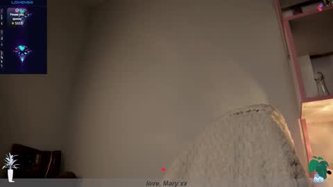 Mary GTM3Mon Wed Thu Sat Sun 0400 am-1030pm online show from 11/24/25, 01:05