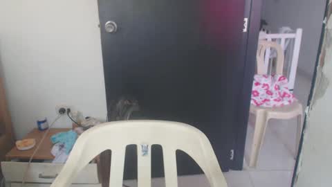 Snapshot of maryam_arabicmilk chatting on 01/08/25, 03:07 maryam_arabicmilk online show from 01/08/25, 03:07