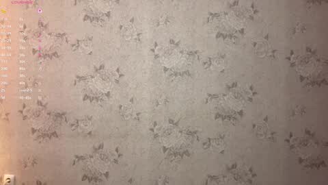 Stephie online show from 02/17/26, 08:04