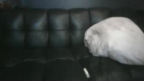 Masc39 online show from 04/12/26, 12:37