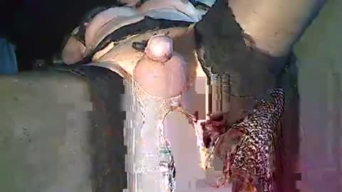 maschpro online show from 12/26/24, 02:37