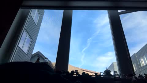 masturbatingmariamiller online show from 02/04/26, 08:47