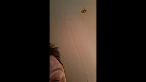 masturbator469658 online show from 03/21/26, 03:59