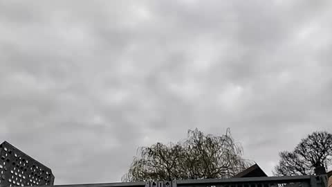 Mattythelog online show from 03/19/26, 09:35