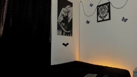 Alex online show from 01/31/25, 06:57