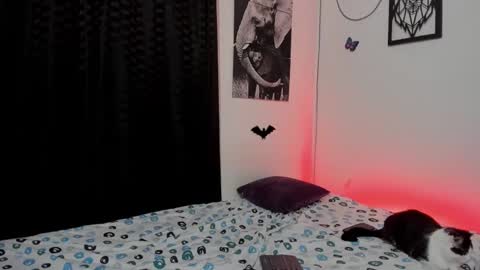 Alex online show from 03/03/25, 04:36