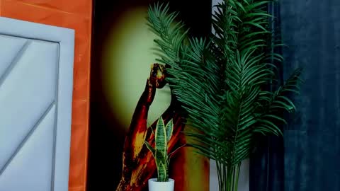 Alex online show from 02/17/26, 11:29