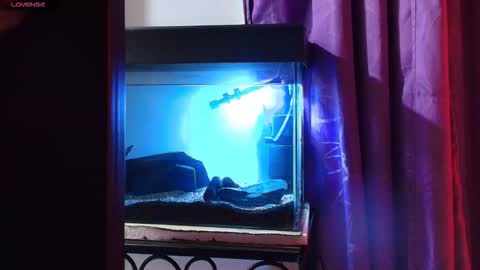 Max online show from 03/09/26, 02:04