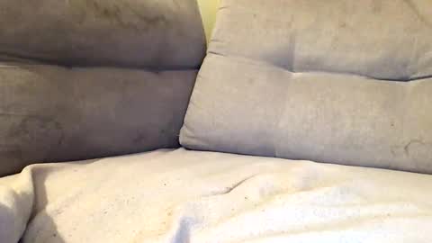 Snapshot of maximemax14 chatting on 02/25/26, 08:18 maximemax14 online show from 02/25/26, 08:18