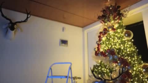 Snapshot of maximohoot chatting on 12/03/24, 11:57 Sebastian online show from 12/03/24, 11:57