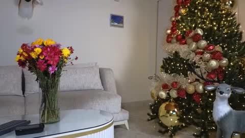 Snapshot of maximohoot chatting on 12/07/24, 01:14 Sebastian online show from 12/07/24, 01:14