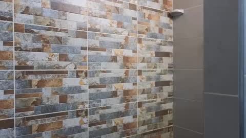 Snapshot of maximohoot chatting on 12/24/24, 10:17 Sebastian online show from 12/24/24, 10:17