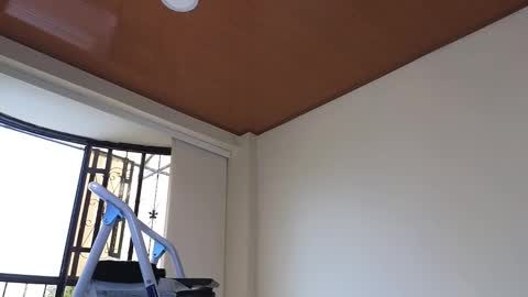 Snapshot of maximohoot chatting on 12/30/24, 07:32 Sebastian online show from 12/30/24, 07:32