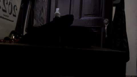 Snapshot of maximotorricelli chatting on 01/03/25, 09:47 maximotorricelli online show from 01/03/25, 09:47