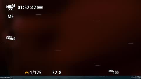 Maximus7871 online show from 01/31/25, 11:35