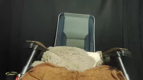 Snapshot of maximus_oreally chatting on 01/22/25, 10:05 Max online show from 01/22/25, 10:05