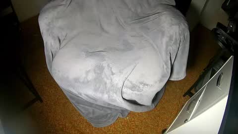 Maxx Ellis online show from 12/31/24, 03:01