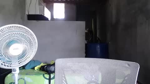 Mcgregor online show from 12/27/24, 05:16