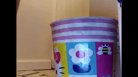 meaderd740870 online show from 01/23/25, 04:19