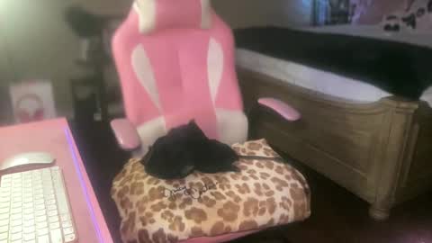 Snapshot of meetsouthernpeach chatting on 09/27/25, 04:17 Southern Peach online show from 09/27/25, 04:17