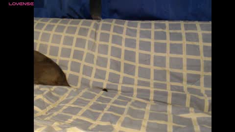 Snapshot of meg4nmiau chatting on 02/19/25, 02:01 Meg4n Miauuuu online show from 02/19/25, 02:01