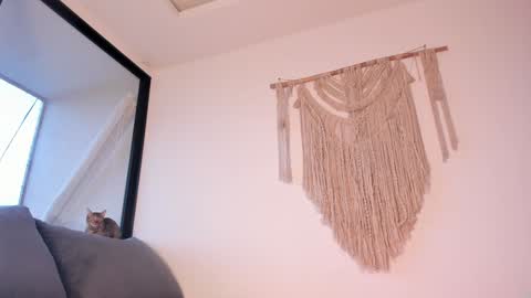 Snapshot of megan__88 chatting on 01/03/25, 10:51 megan online show from 01/03/25, 10:51