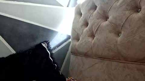 Megan and sophi online show from 10/20/25, 01:33