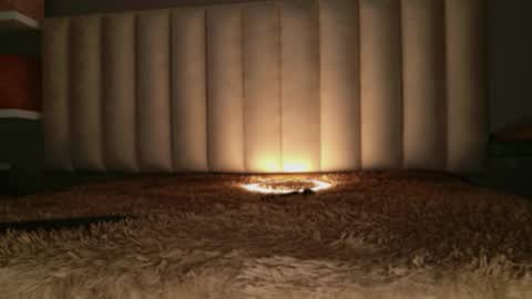     online show from 03/18/26, 12:52