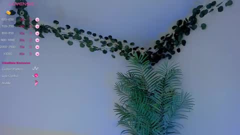 Snapshot of megancarlott_ chatting on 03/01/25, 05:31 megancarlott_ online show from 03/01/25, 05:31