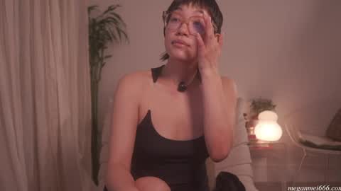 Snapshot of meganmei666 chatting on 04/29/26, 02:04 for more 3 online show from 04/29/26, 02:04