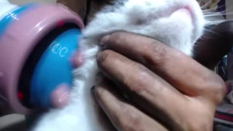 melany online show from 11/06/25, 08:54