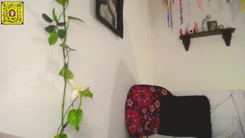 melissa online show from 02/11/25, 12:17