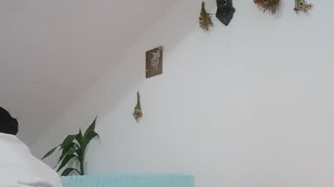 melissa online show from 11/01/25, 10:17